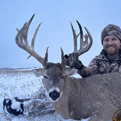 White-Tailed Deer 2:1 2026