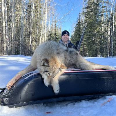 2026 Baited Wolf Hunts