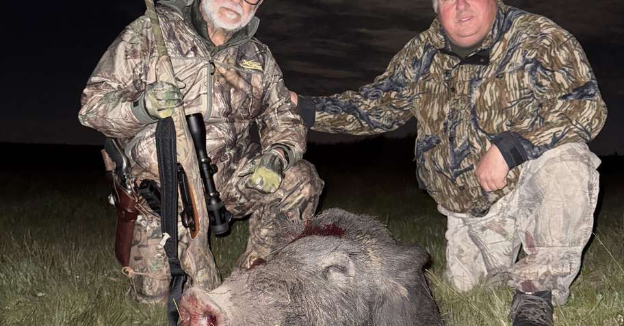 Wild Boar and Blackbuck Package