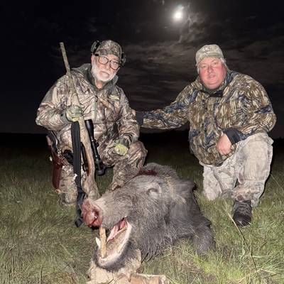 Wild Boar and Blackbuck Package