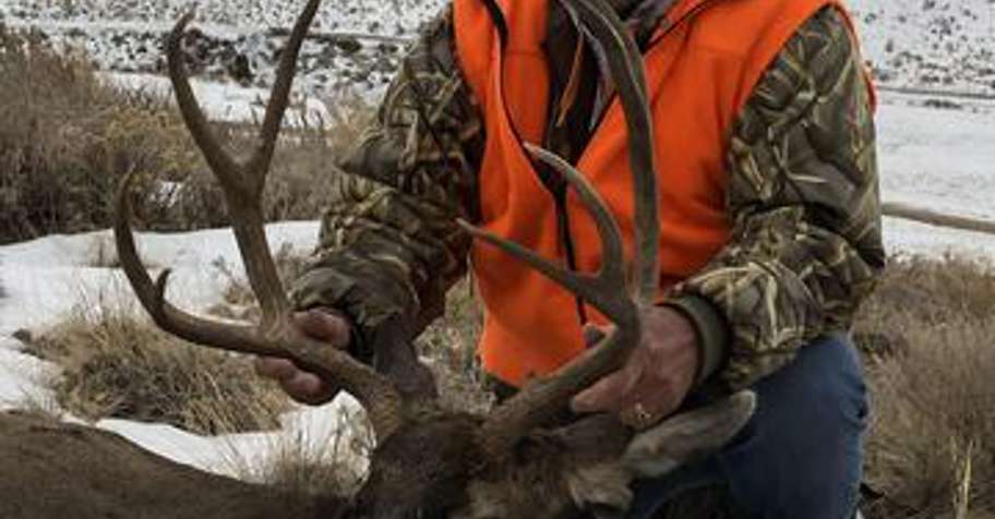 Five Day Buck Mule Deer Hunt 2027