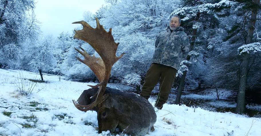 Fallow deer bronze medal hunt Bulgaria