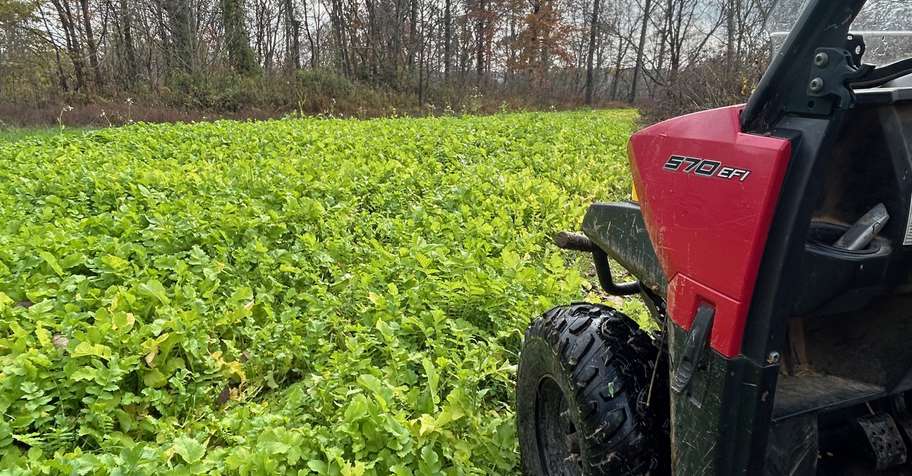 $400 OFF Pre Rut Bow Hunt - 125 Min