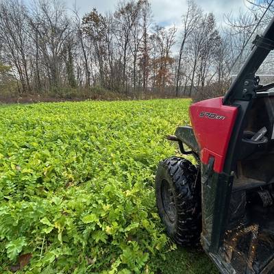 $400 OFF Pre Rut Bow Hunt - 125 Min