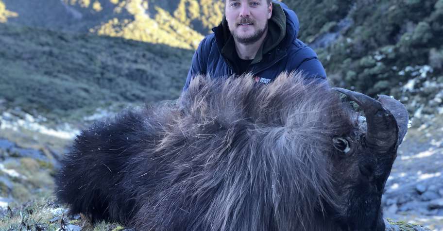 Red Stag & Bull Tahr Hunt
