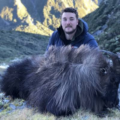 Red Stag & Bull Tahr Hunt