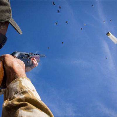 3 Day Pigeon Shooting in La Pampa