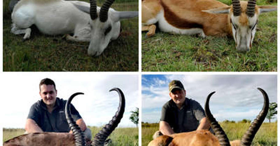 Springbuck Grandslam Package