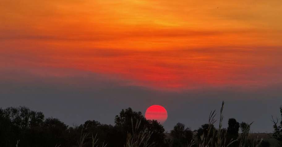 3 Day Buffalo and Boar Hunt