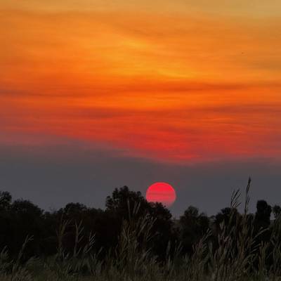 3 Day Buffalo and Boar Hunt