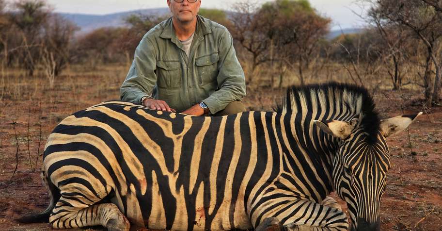 Build Your Own Cull Hunt!