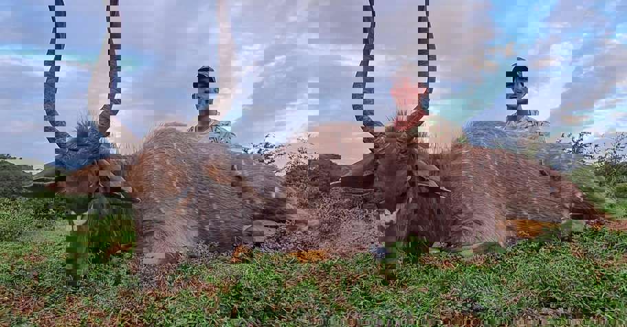 Eastern Cape Nyala Package