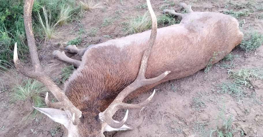2027 Management Stag Deal