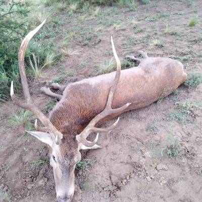 2027 Management Stag Deal