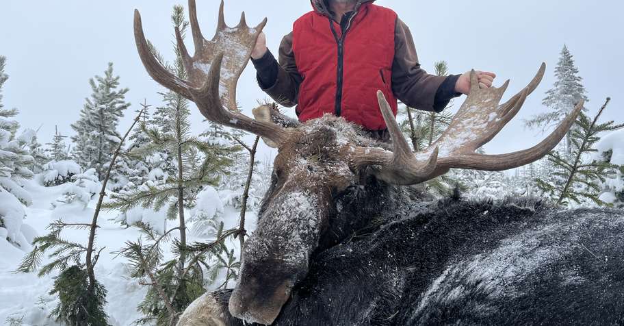 Moose & Whitetail Deer Hunt