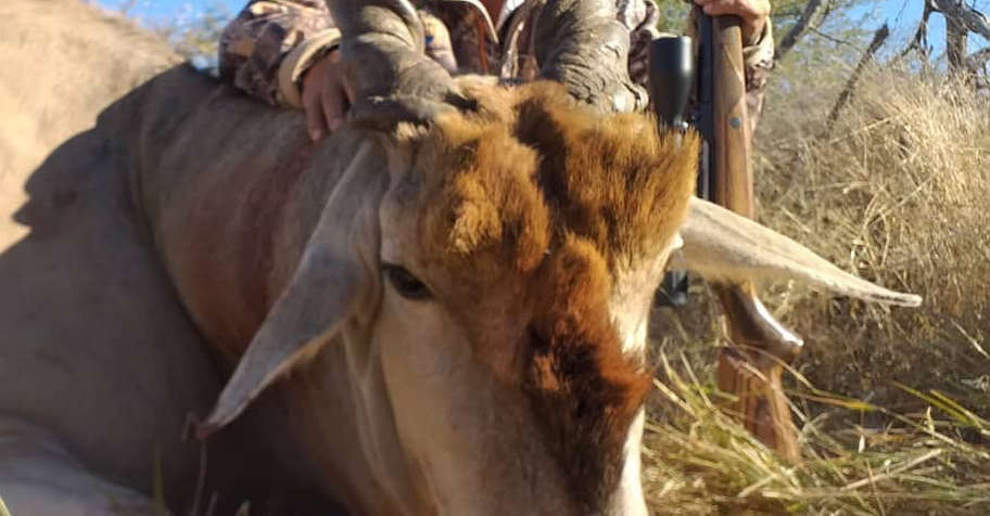 Safari Package 3