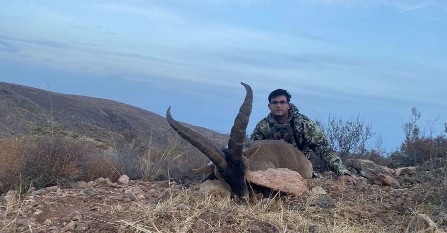 Ronda Ibex Hunt