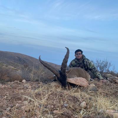 Ronda Ibex Hunt