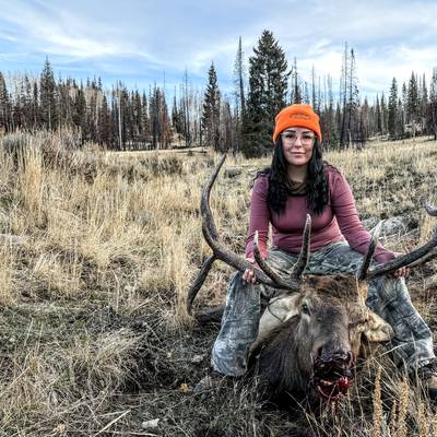 4 PPL Bull Elk and/or Mule Deer