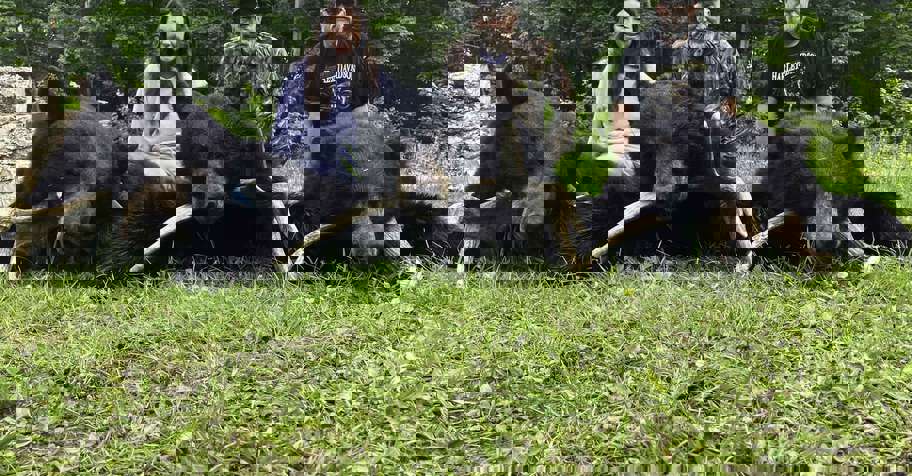 Spring Black Bear Hunt *Special*