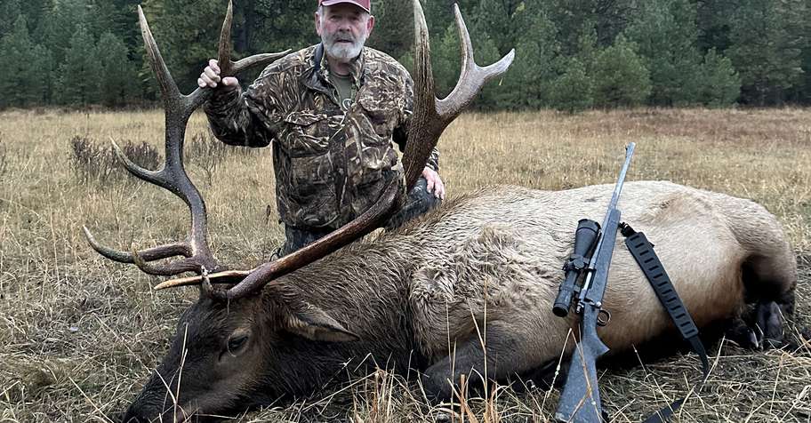 Rocky Mt Bull Elk- 2nd Rifle