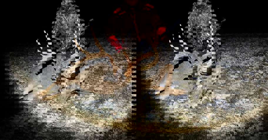 White-tailed Deer Luxury Cabin Package