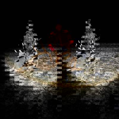 White-tailed Deer Luxury Cabin Package