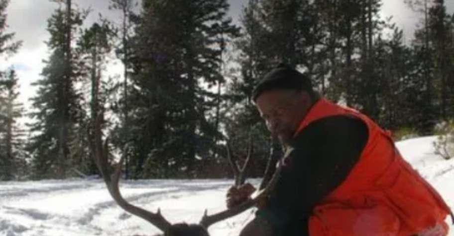 Guided Mule Deer & Bull Elk Hunt x3