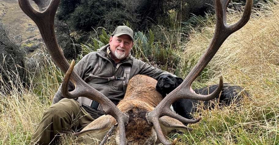 Free range hunting Red Stag or Fallow