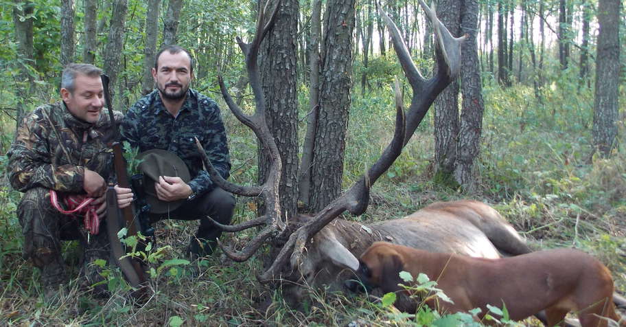 Red stag and roe buck package