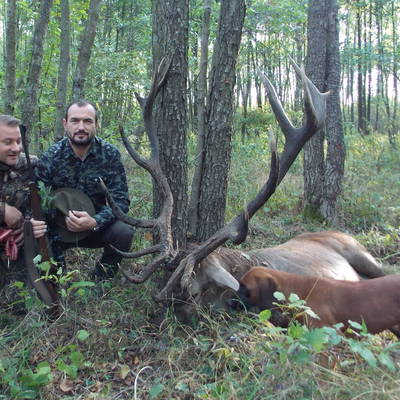 Red stag and roe buck package