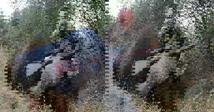 4 - Buffalo, Sable & Roan Package