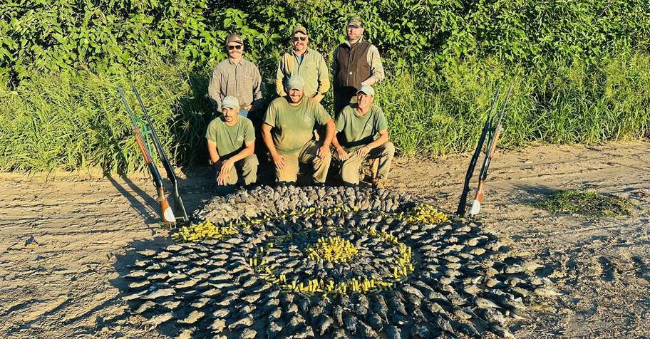 4-Day Dove Hunt - 4 Hunters