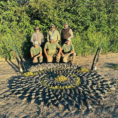 4-Day Dove Hunt - 4 Hunters