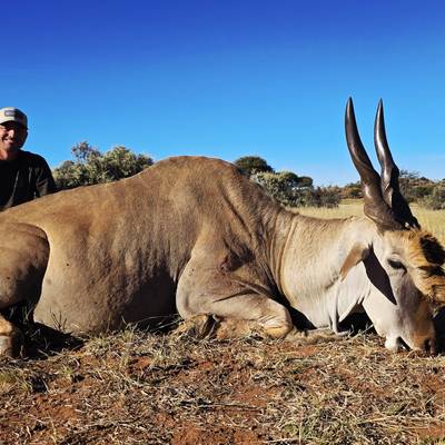 Package 4 - Plains Game Safari (1:1)