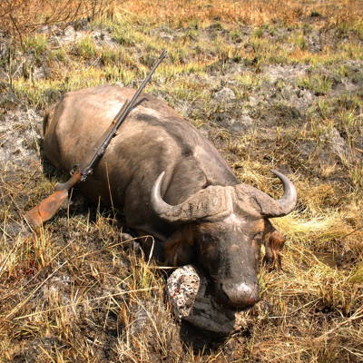 10-Day Savannah Buffalo Safari (2x1)