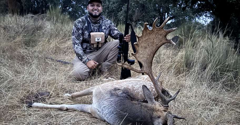 Fallow Buck Rut Hunting in  Portugal