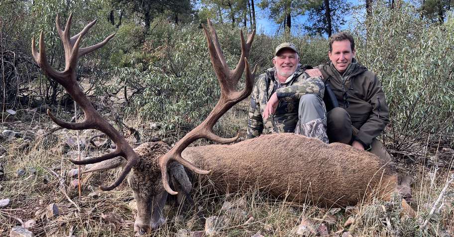 Iberian Deer Hunt Spain - Rut Season