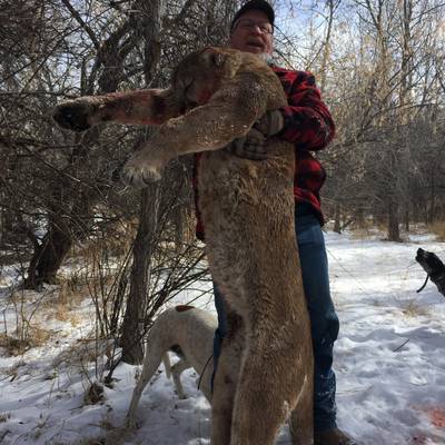 Close the Season Special- Mountain Lion