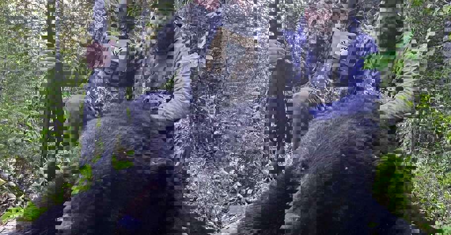 Spring Black Bear Hunt