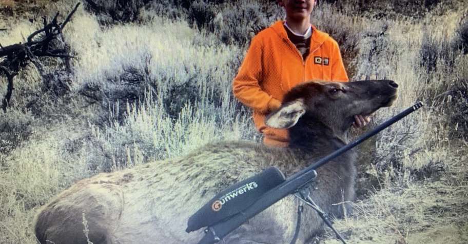 4 day fully outfitted cow elk