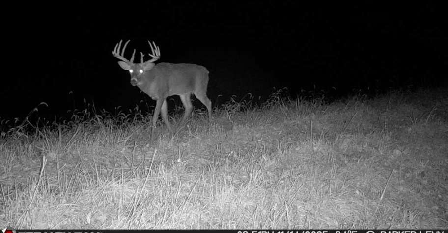 Archery Season Rut 1