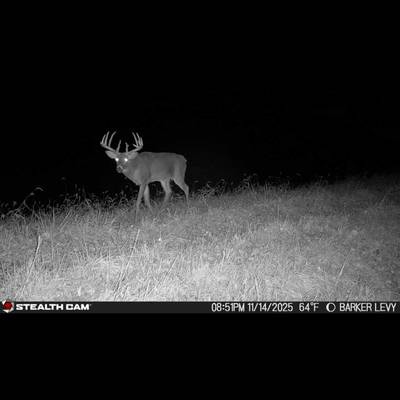 Archery Season Rut 1
