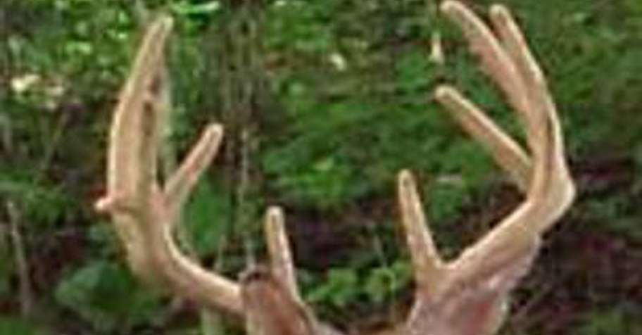 $800 TROPHY BOW HUNT Late 2025 Season