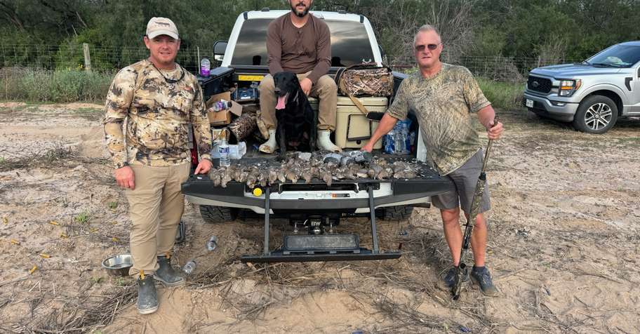 DOVE HUNTS WHITEWING MOURNING RINGNECK