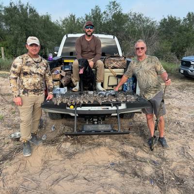DOVE HUNTS WHITEWING MOURNING RINGNECK