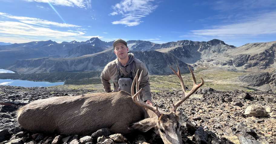 High Country Mule deer
