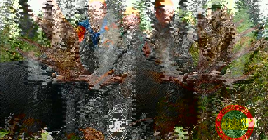 Semi-Guided Maine Moose Hunts 2026