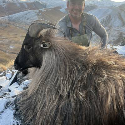 Winter Himalayan Tahr Hunt