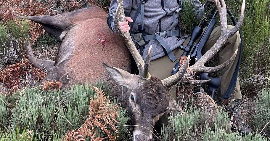 Big Game Hunting on Private Land